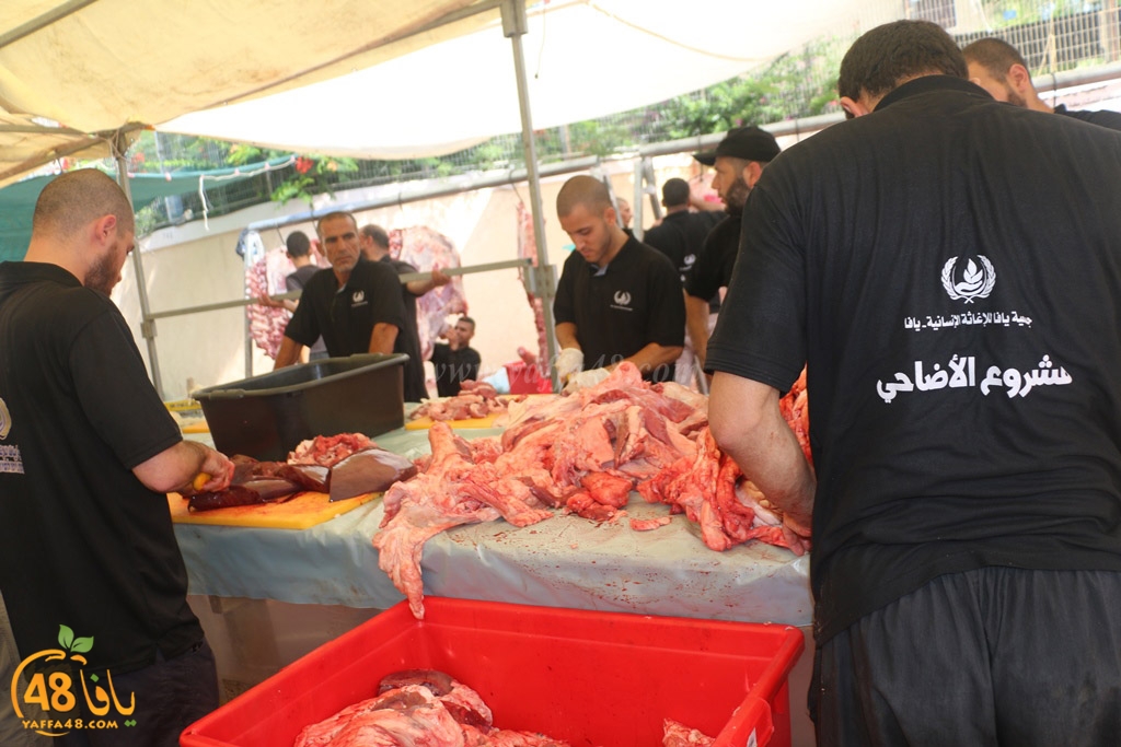 ada7y forthei (52).JPG